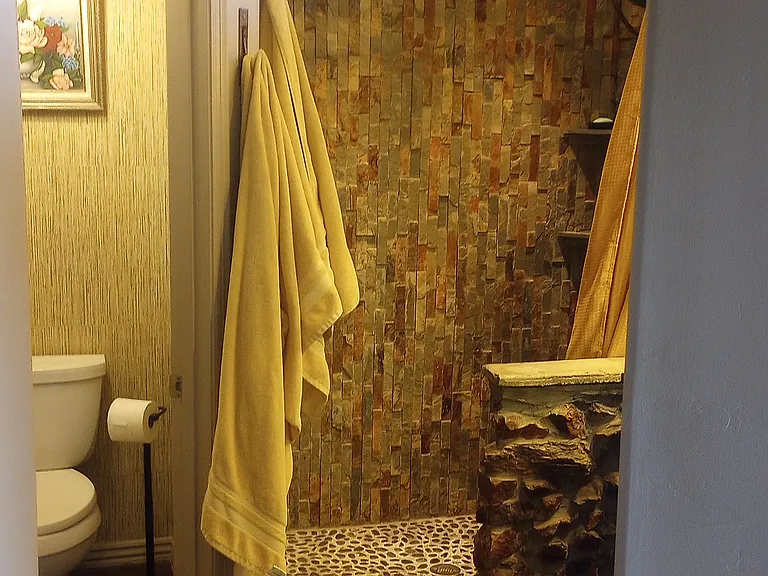 Primary bath shower.