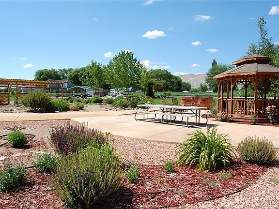 Back Yard Garden Area