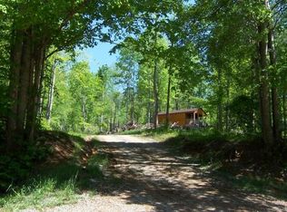 381 Tiger Creek Rd, Roan Mountain, TN 37687
