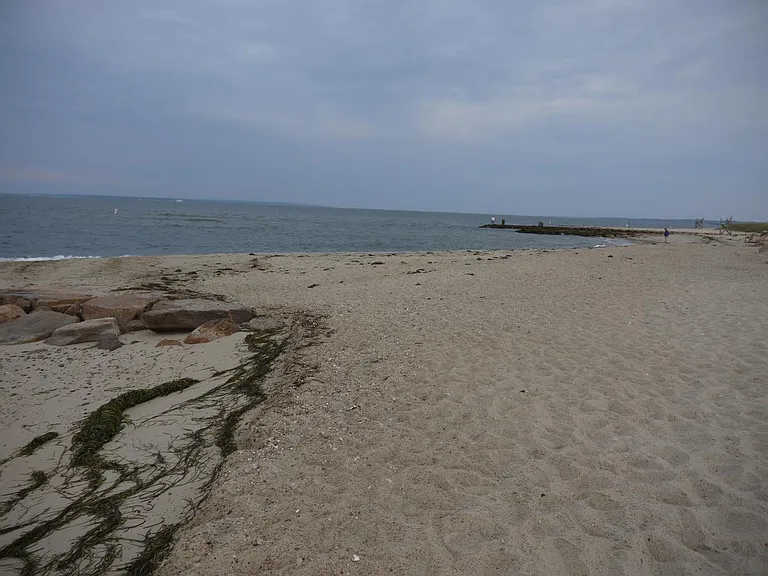 The Beach