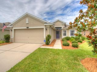11124 Ancient Futures Dr, Tampa, FL 33647