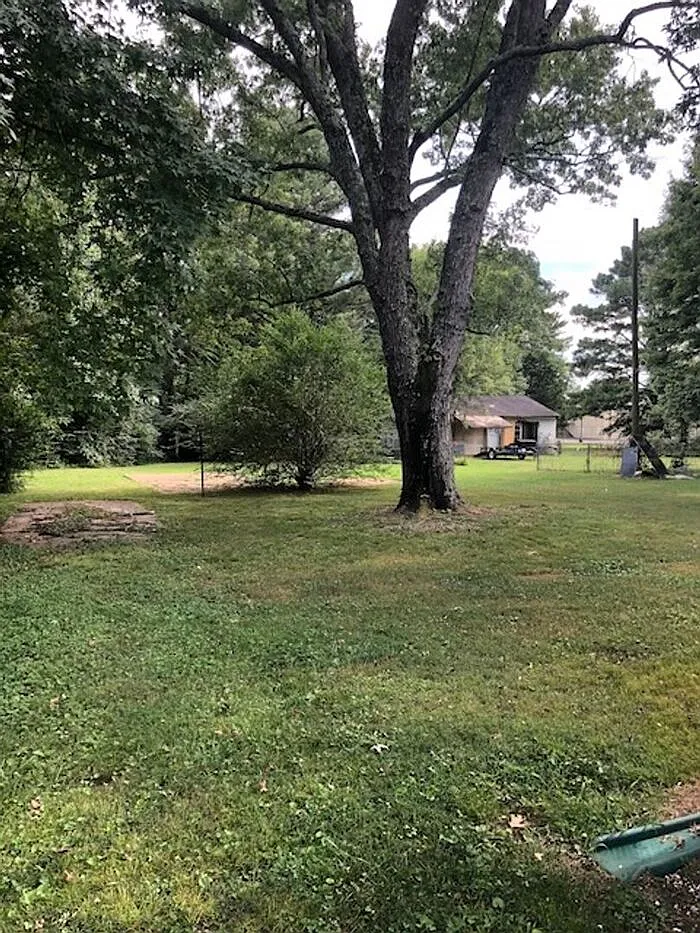 3 bed, 1.0 bath, 1040 sqft, $1,195 — Photo 2