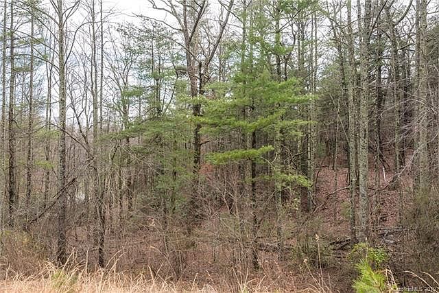 1st image of 0 Twin Lakes Dr