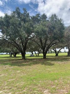 NE 56th Ct Lot 19, Anthony, FL, 32617