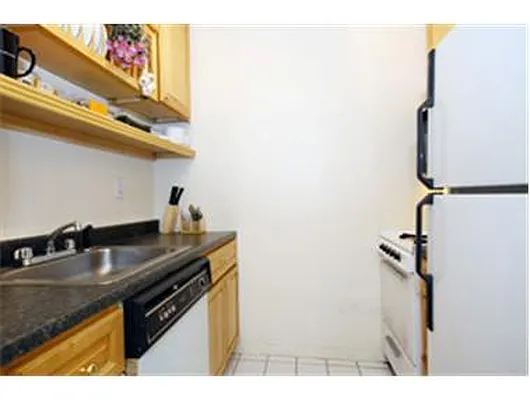 Rented by Douglas Elliman | media 3