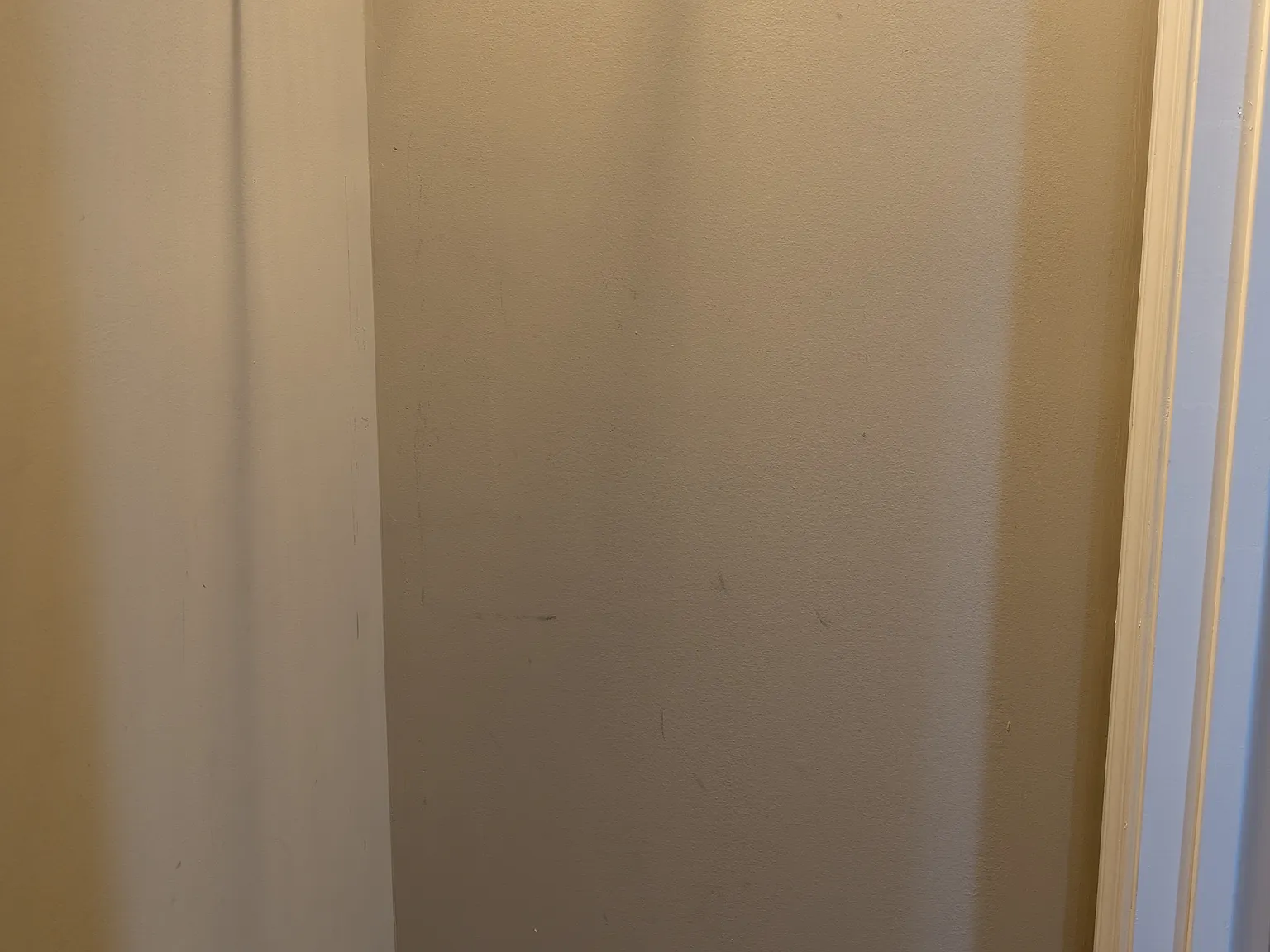 1 bed, 1000 sqft, $1,300 — Photo 3