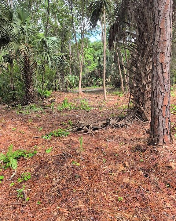 2nd image of MARIE AVENUE LOT 19