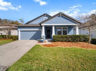 115 Elina Sky Dr, Seffner, FL 33584