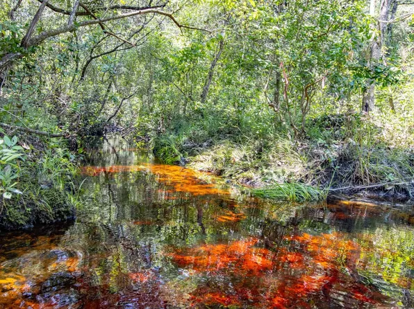Xx2 Sr 20, Hosford, FL 32334