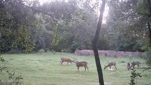 2nd image of Kenny Dr