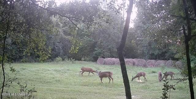 2nd image of Kenny Dr