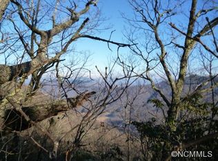 99999 Bear Wallow Trl, Leicester, NC 28748