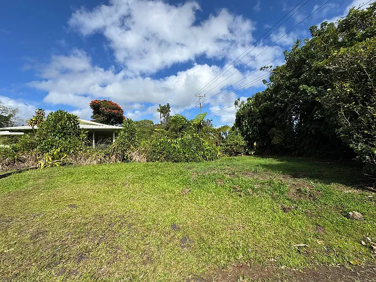 17-1156 Volcano Rd #1 — Photo 9