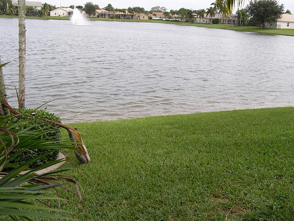 Lakefront view from your patio,pool,etc