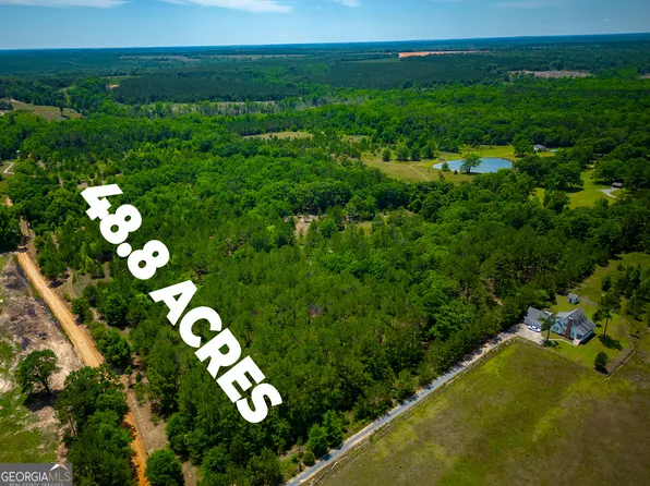 0 Ira Kelly Rd, Buena Vista, GA 31803