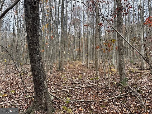 4th image of TRACT 1 65/ Acres
