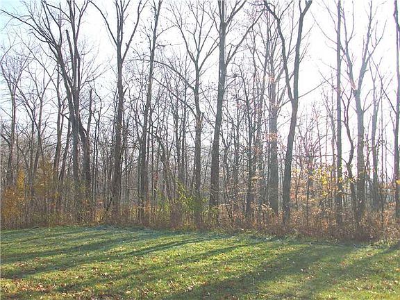 4th image of 11549 Willow Springs Dr