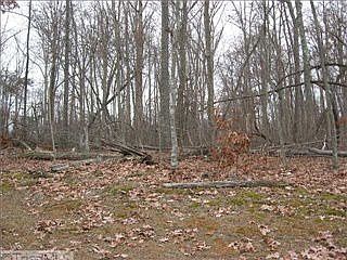 1st image of 1712 Willow Wick Dr