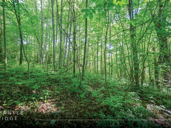 Lot 4 Luckies Way, Cashiers, NC 28717