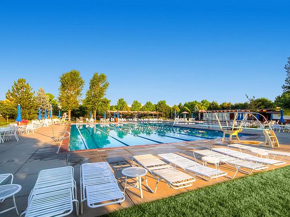Aviator Pool