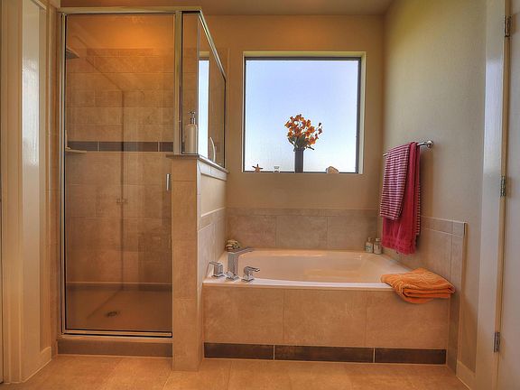 Garden tub & Walk-in shower