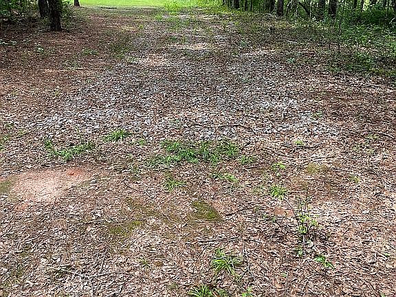 4th image of 774 Bonner Rd