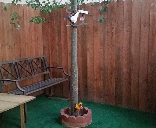 New Fence 2016