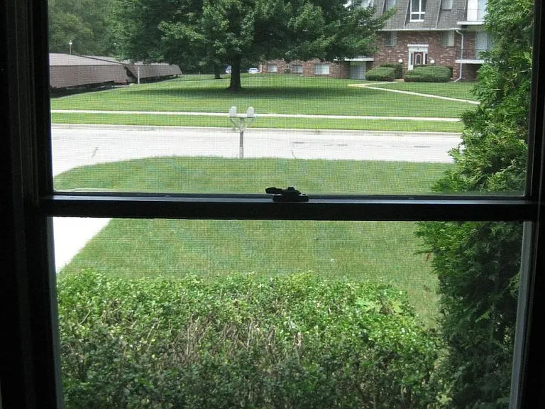View from living room window
