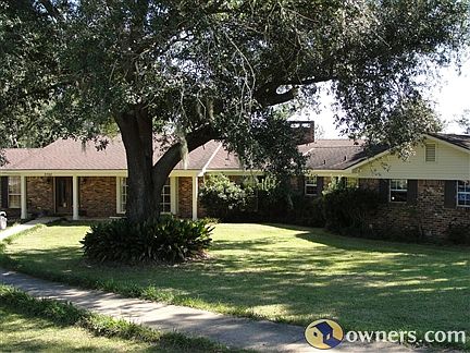 Large Oak tree swaying in the front yard.
