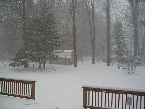 Backyard in Winter