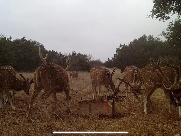 19 Rewards Ranch, Rocksprings, TX 78880