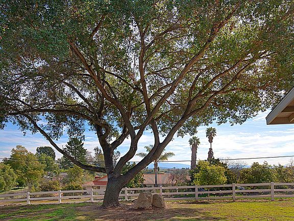 3rd image of 617 Del Valle Dr
