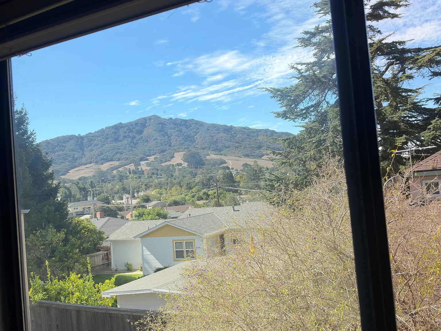 3 bed, 2.5 bath, $1,225 — Photo 4