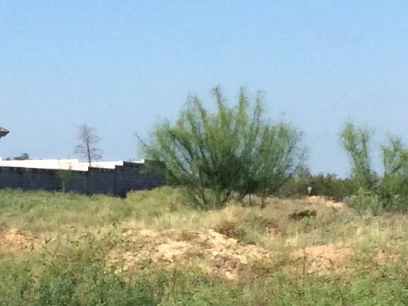 5th image of 8720 High Creek Dr