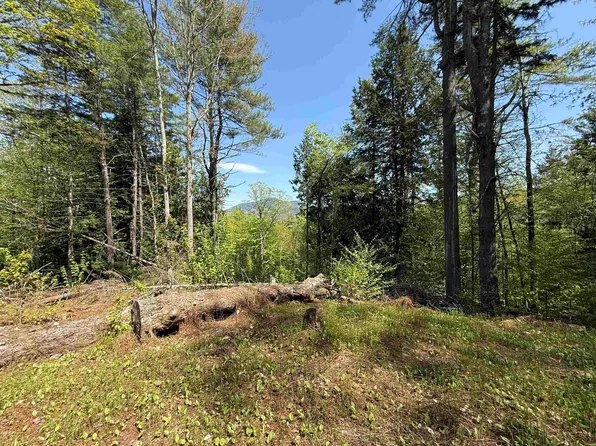 00 Senna Road, Cavendish, VT 05142