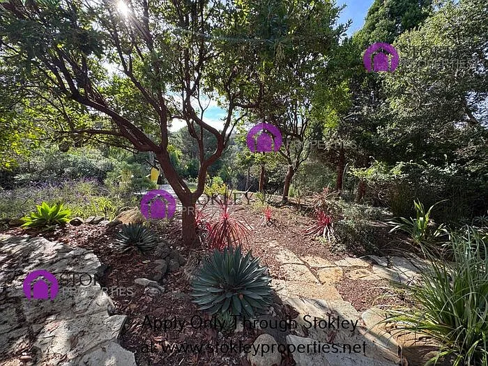 155 Farallon Ct — Photo 39