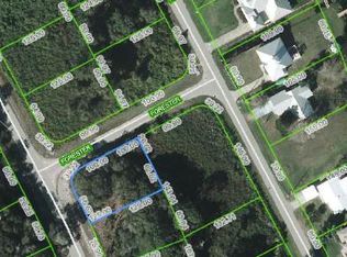 1019 Wildflower St, Lake Placid, FL 33852