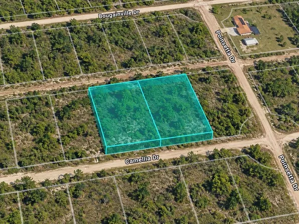 304 & 306 CAMELLIA DRIVE LOT 2, INDIAN LAKE ESTATES, FL 33855