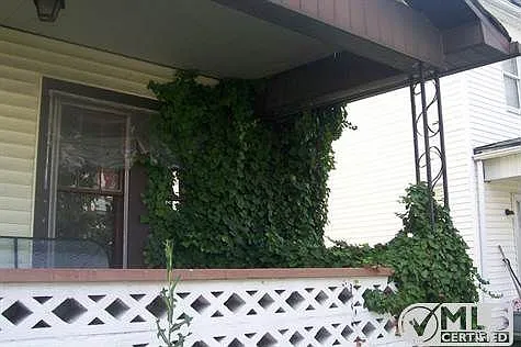 113 Cedar Ave photo 1