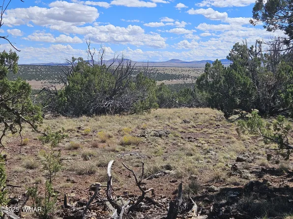 N 8339th, Concho, AZ 85924