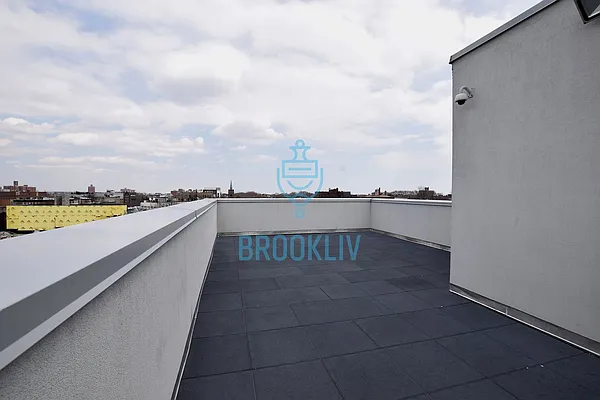 Rented by null | media 51