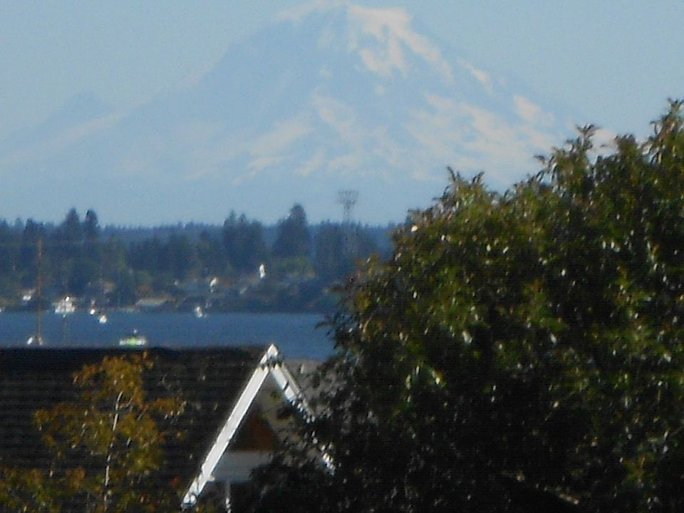 Picture Taken From Property