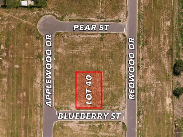 40 Blueberry St, Weslaco, TX 78596