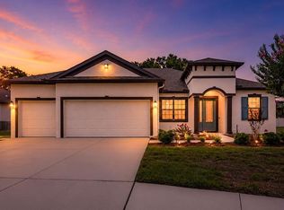 11026 Brahman Ranch Cir, Riverview, FL 33578