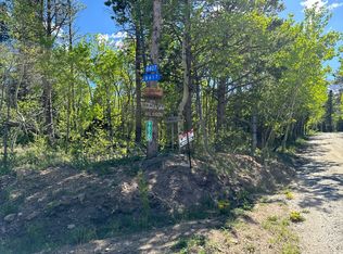 8451 Peak To Peak Hwy #7, Allenspark, CO 80510