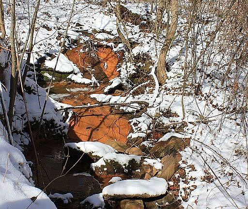 3rd image of 9065 Creekstone Pl