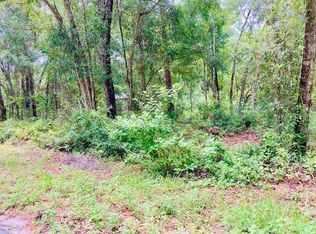 407 Raulerson Rd, Seville, FL 32190