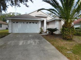 336 Woodspring Ct, Oldsmar, FL 34677