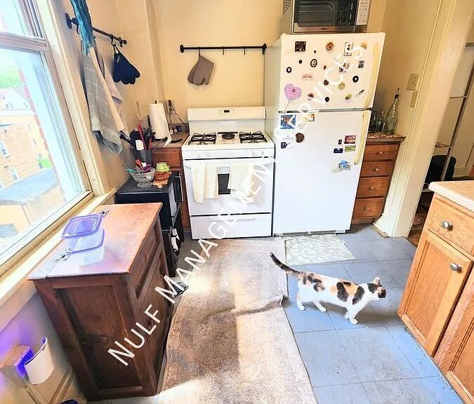 5854 Forbes Ave #11 — Photo 1