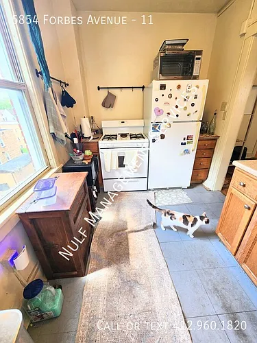 5854 Forbes Ave Photo 1